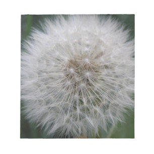 Bloc De Notas Notepad de flor de Dandelion con semilla