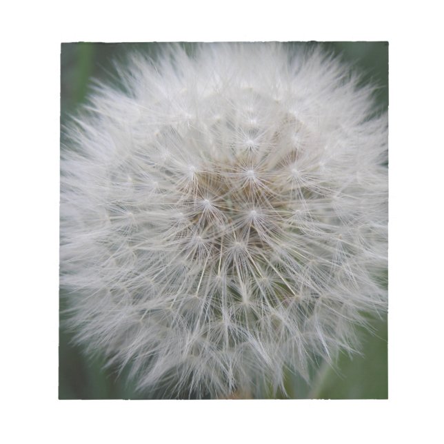 Bloc De Notas Notepad de flor de Dandelion con semilla (Frente)