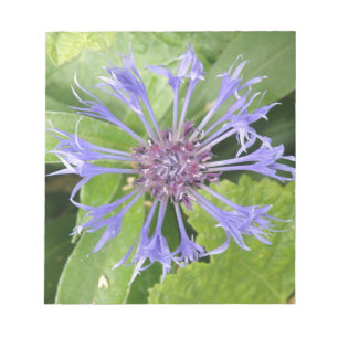 Bloc De Notas Notepad de flor de maíz azul