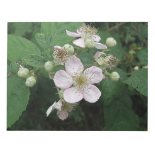 Bloc De Notas Notepad de Flores de Blackberry