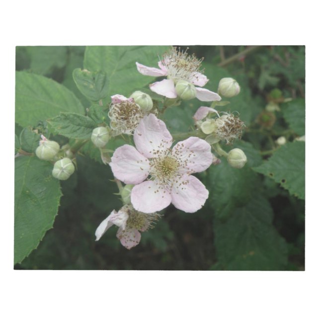 Bloc De Notas Notepad de Flores de Blackberry (Frente)