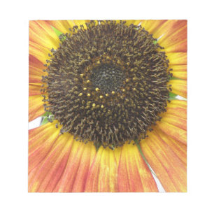 Bloc De Notas Notepad de girasol naranja