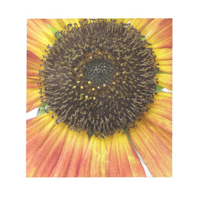 Bloc De Notas Notepad de girasol naranja (Frente)