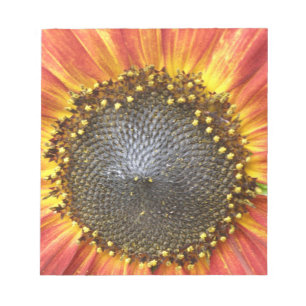 Bloc De Notas Notepad de girasol rojo y amarillo