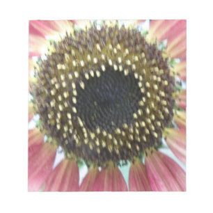 Bloc De Notas Notepad de girasol rosado de bonito