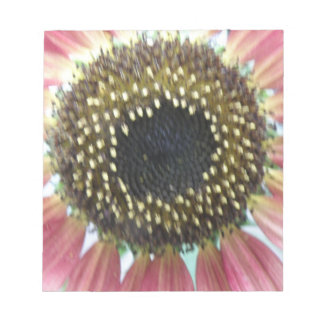 Bloc De Notas Notepad de girasol rosado de bonito