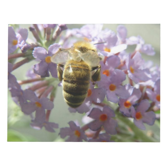 Bloc De Notas Notepad de las flores de abeja y buda (Frente)