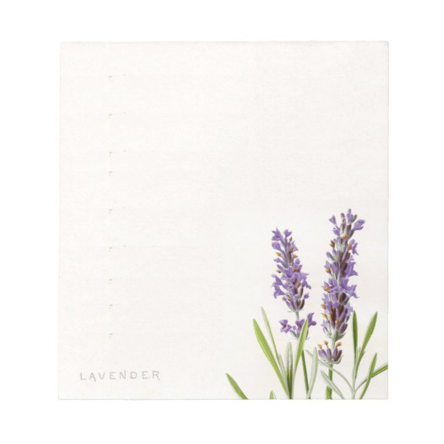 Bloc De Notas Notepad de lavanda de época (Frente)