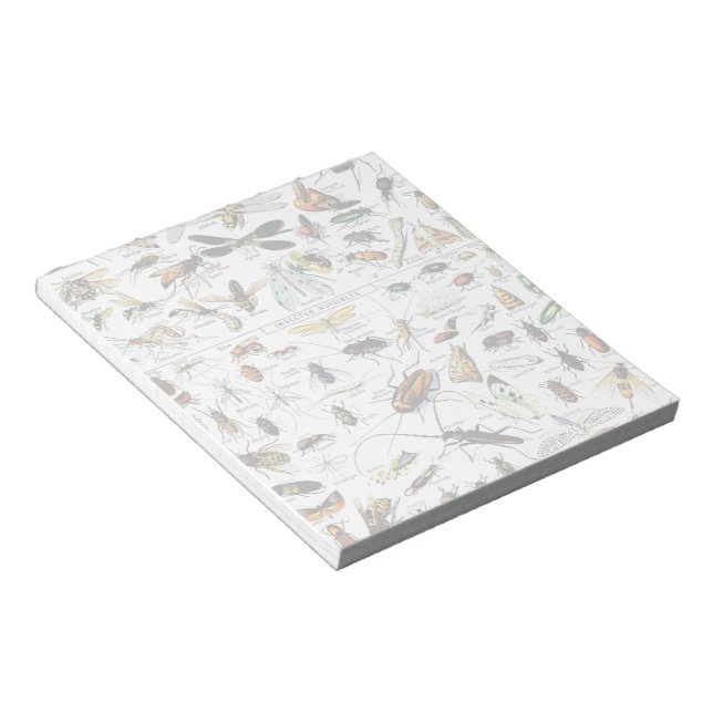 Bloc De Notas Notepad de los insectos de Adolphe Millot (Lado Derecho)