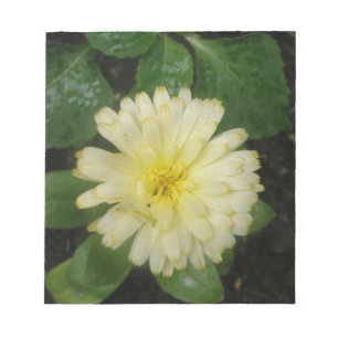 Bloc De Notas Notepad de maricomio amarillo