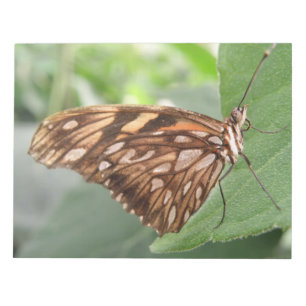 Bloc De Notas Notepad de mariposa de bonito marrón