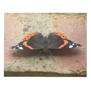 Bloc De Notas Notepad de mariposa del Almirante Rojo