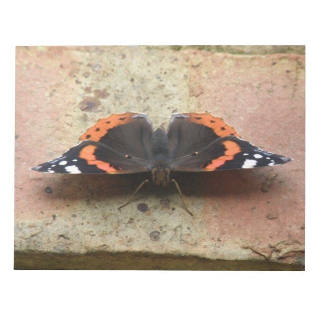 Bloc De Notas Notepad de mariposa del Almirante Rojo (Frente)