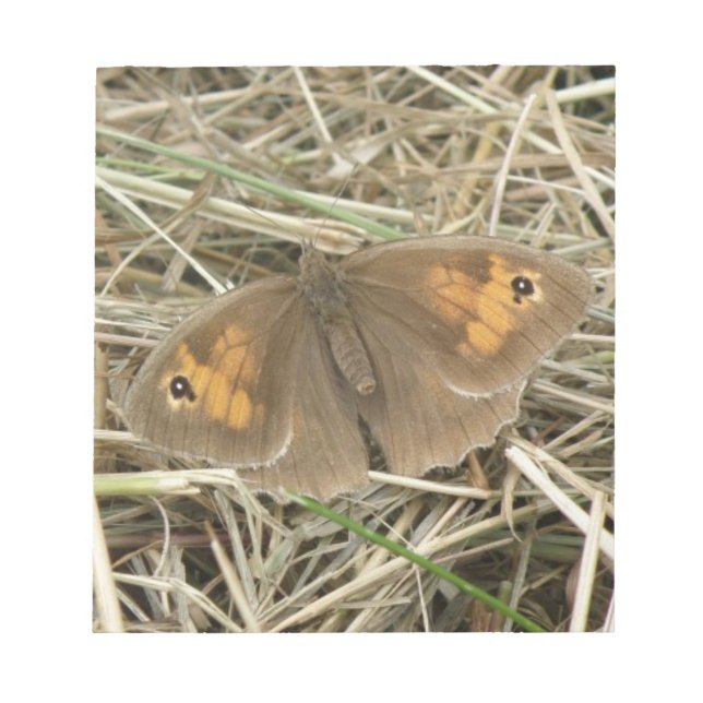 Bloc De Notas Notepad de mariposa marrón de pradera femenina (Frente)