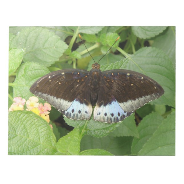 Bloc De Notas Notepad de mariposa tropical bonito (Frente)