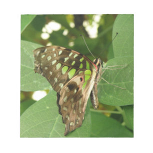 Bloc De Notas Notepad de mariposa verde irlandés tropical