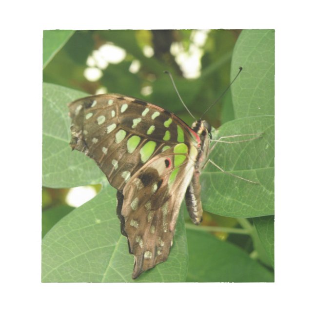 Bloc De Notas Notepad de mariposa verde irlandés tropical (Frente)