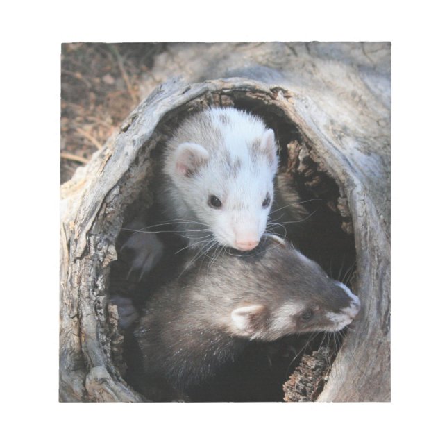 Bloc De Notas Notepad de Pals (Frente)