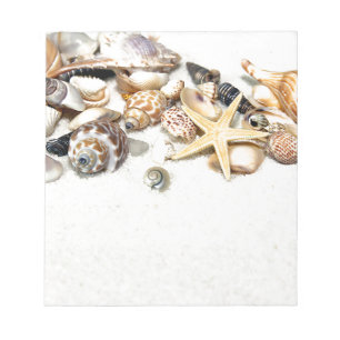 Bloc De Notas Notepad de Seashells