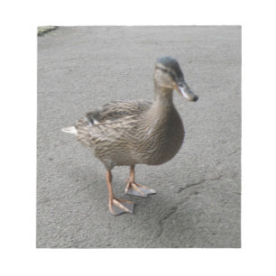 Bloc De Notas Notepad divertida de Waddling Duck