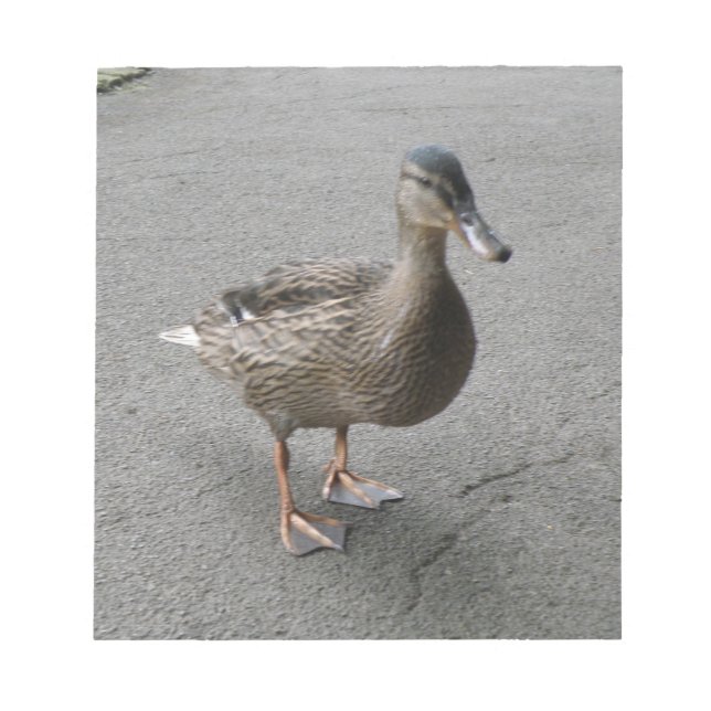 Bloc De Notas Notepad divertida de Waddling Duck (Frente)