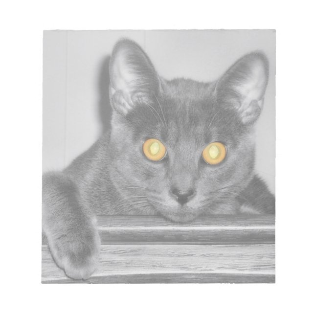 Bloc De Notas Notepad Dusky Gold (Frente)