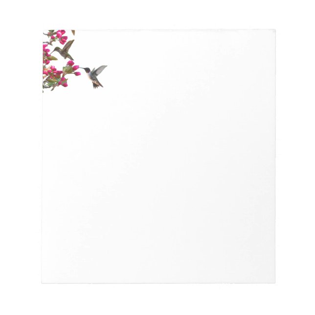 Bloc De Notas Notepad Hummingbirds (Frente)