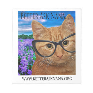 Bloc De Notas notepad mejor preguntar a nana