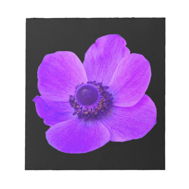 Bloc De Notas Notepad morado anémico (Frente)