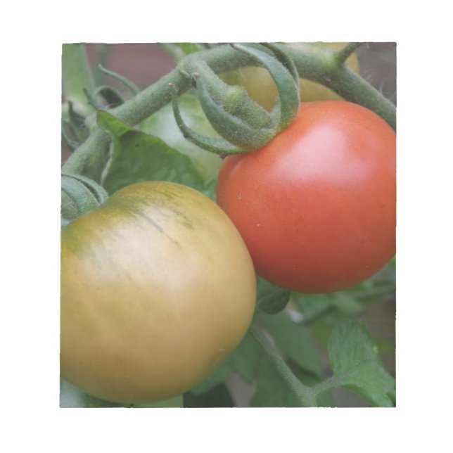 Bloc De Notas Notepad naranja y tomates rojos (Frente)