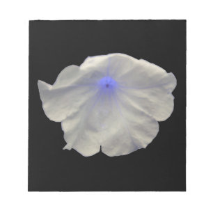 Bloc De Notas Notepad Petunia Blue Glow