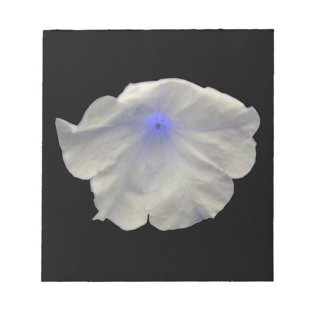 Bloc De Notas Notepad Petunia Blue Glow (Frente)