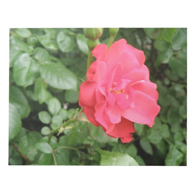 Bloc De Notas Notepad Rosa silvestre (Frente)