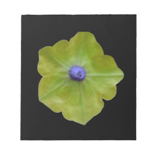 Bloc De Notas Notepad verde y azul de Petunia