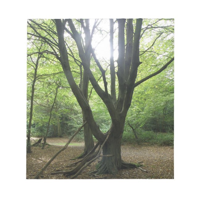 Bloc De Notas Notepad Woodland Sunshine (Frente)
