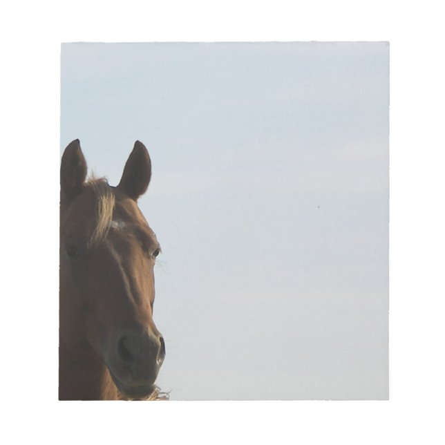Bloc De Notas Notpad para caballos (Frente)