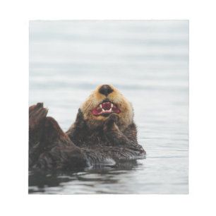 Bloc De Notas Nutria de mar de Alaska