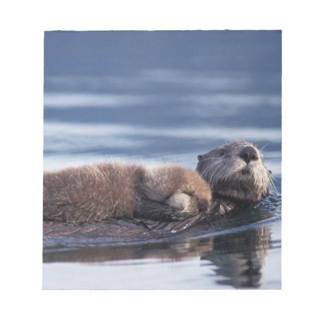 Bloc De Notas nutria marina, Enhydra lutris lutris (Frente)