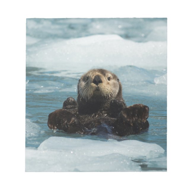 Bloc De Notas Obús flotante (Frente)