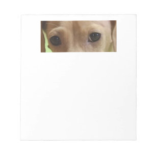 Bloc De Notas ojos de crema dachshund