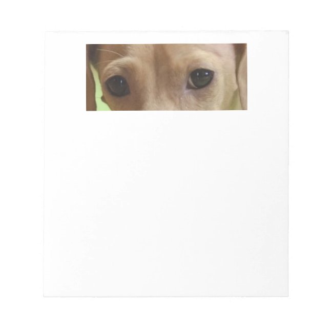 Bloc De Notas ojos de crema dachshund (Frente)