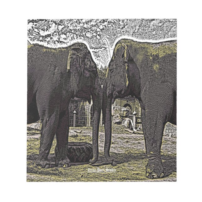 Bloc De Notas Ojos elefantes (Frente)