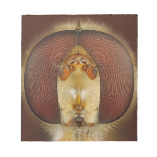 Bloc De Notas Ojos principales y compuestos de una mosca de la