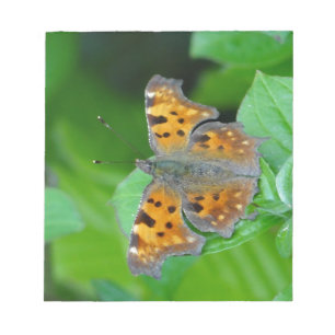 Bloc De Notas Orange butterfly