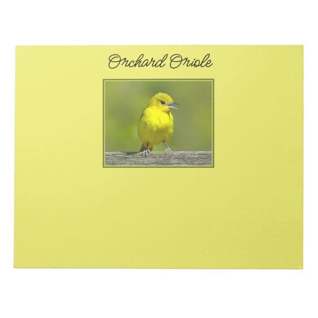 Bloc De Notas Orchard Oriole - Foto original (Frente)