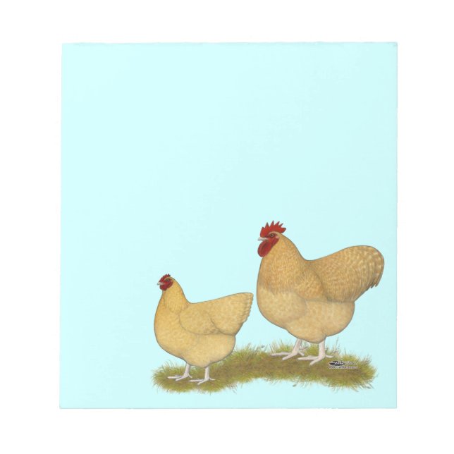 Bloc De Notas Orpingtons Lemon Cuckoo (Frente)