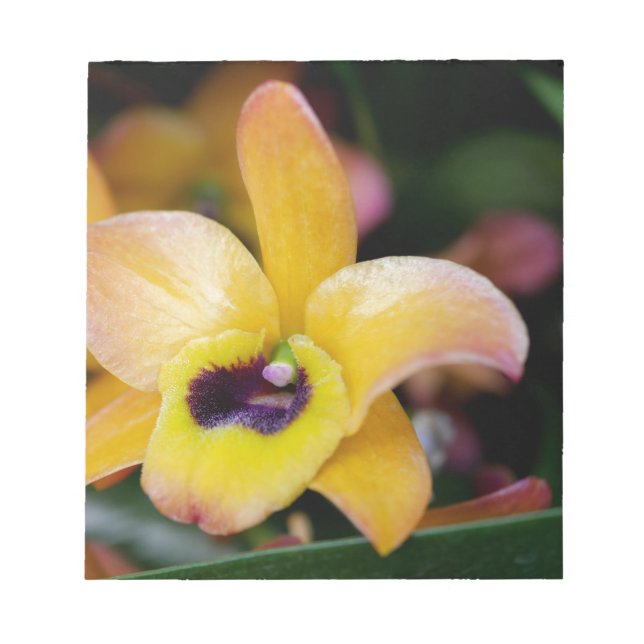 Bloc De Notas Orquídea del Sol (Frente)