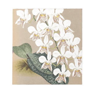 Bloc De Notas Orquídeas