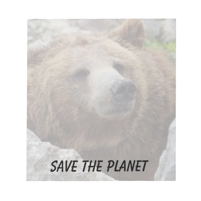 Bloc De Notas Oso Kodiak (Frente)