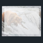 Bloc De Notas Oso pardo atrapa salmón rojo<br><div class="desc">Osos pardos pescan salmón rojo en las cataratas del río Brooks,  Parque Nacional Katmai,  suroeste de Alaska.</div>